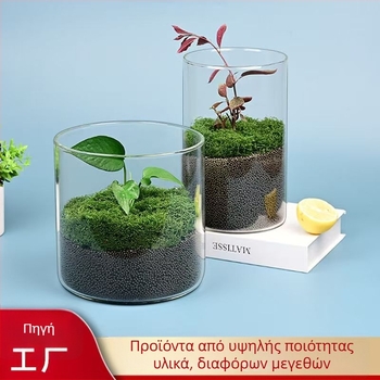 Γυάλινο μπουκάλι μικροτοπίου από βορσολιτικό γυαλί για υδροπονία και υδρόβια φυτά, κωδ. D-01