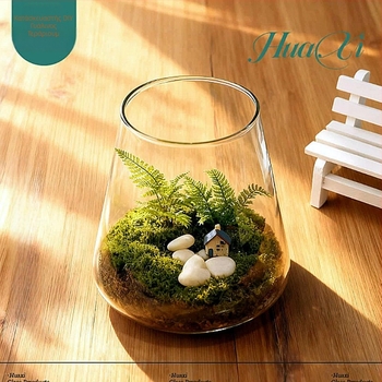 Terrarium με βρύα και παχύφυτα – μικρο-τοπίο σε διαφανή γυάλινη φιάλη, για τοποθέτηση, συσκευασία από χαρτόνι, έτοιμο για δώρο