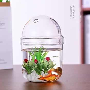 Haomeng Βάζο από borosilicate γυαλί για μικρο-τοπία υδροπονίας με παχύφυτα και διακοσμητικά ψάρια — Υλικό: γυαλί borosilicate; Συσκευασία: χάρτινο κουτί; Εμφάνιση: display; Δώρο: Όχι