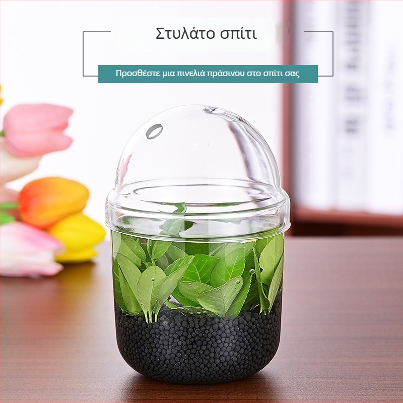 Haomeng Βάζο από borosilicate γυαλί για μικρο-τοπία υδροπονίας με παχύφυτα και διακοσμητικά ψάρια — Υλικό: γυαλί borosilicate; Συσκευασία: χάρτινο κουτί; Εμφάνιση: display; Δώρο: Όχι