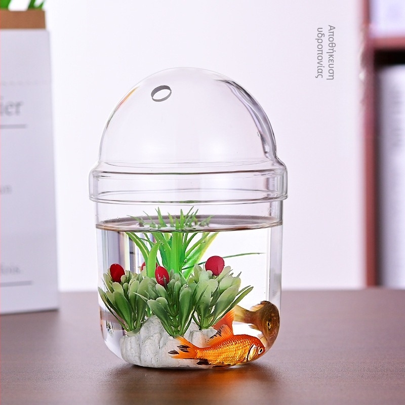 Haomeng Βάζο από borosilicate γυαλί για μικρο-τοπία υδροπονίας με παχύφυτα και διακοσμητικά ψάρια — Υλικό: γυαλί borosilicate; Συσκευασία: χάρτινο κουτί; Εμφάνιση: display; Δώρο: Όχι