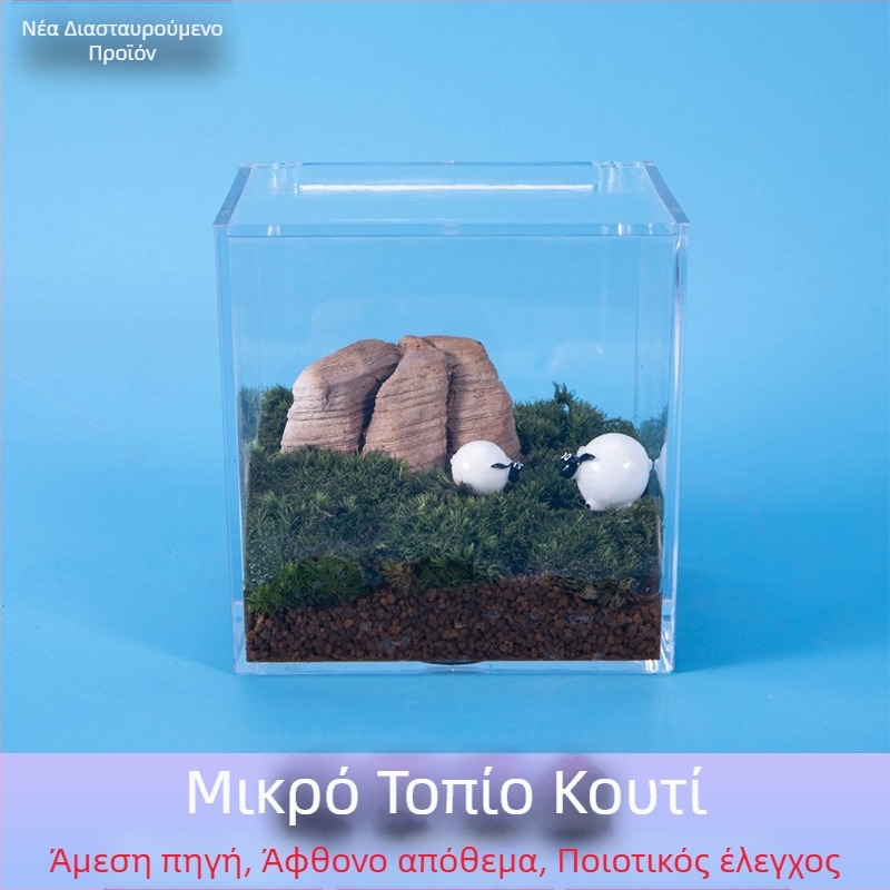 Ακρυλική φιάλη με μίνι τοπίο από βρύα — DIY διακοσμητικό γραφείου, έτοιμο για δώρο από Hi Woof Meow