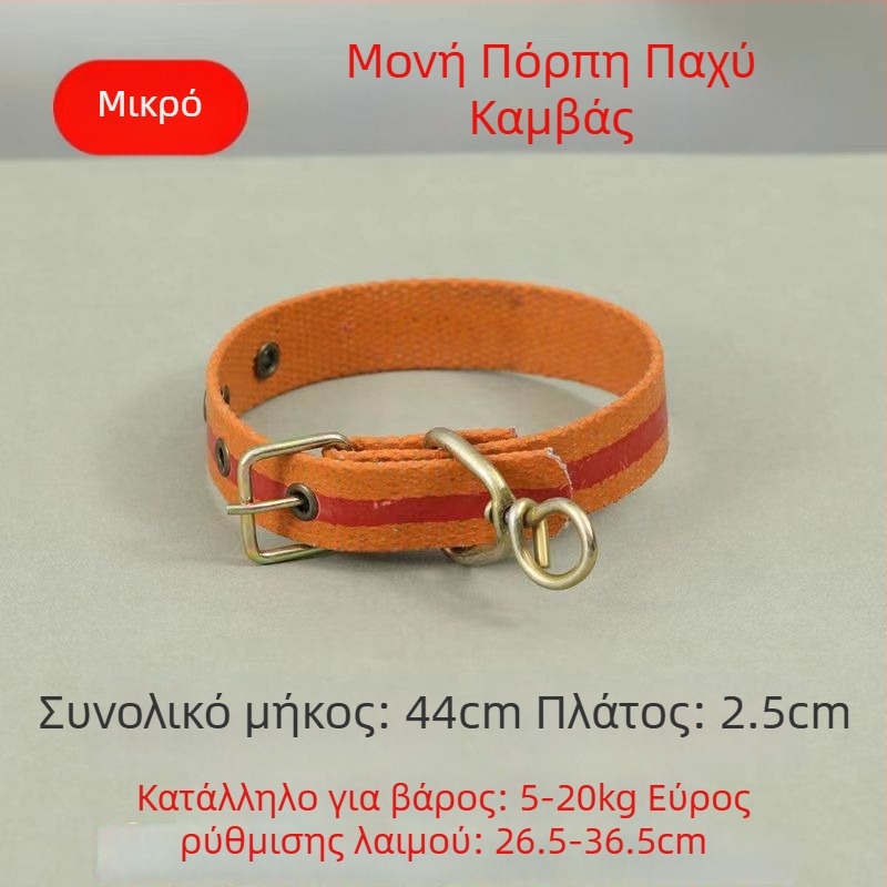 Κολάρο σκύλου και λουρί, για μικρά έως μεγάλα σκυλιά, από πλαστικό
