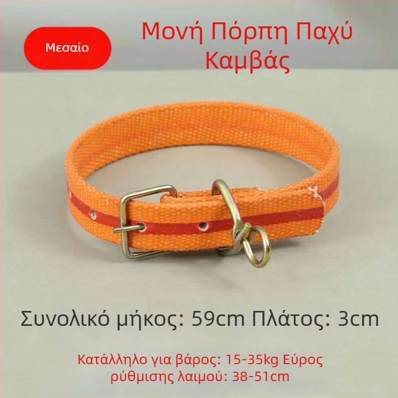 Κολάρο σκύλου και λουρί, για μικρά έως μεγάλα σκυλιά, από πλαστικό