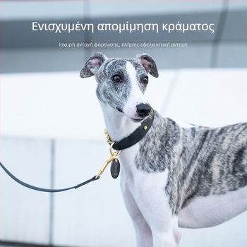 Wakytu PU Λουρί Σκύλου με P-Chain για Βόλτες — Αντι-Σπάσιμο Λωρίδα Πρόσφυσης