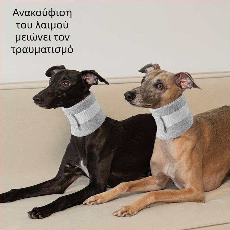 Μαλακό κολάρο για κατοικίδια μετά από χειρουργική επέμβαση, αναπνεύσιμο, καθολική εφαρμογή, υλικό πολυεστέρας, μάρκα Dt1484, στυλ Ιαπωνία και Νότια Κορέα, προέλευση Zhejiang.