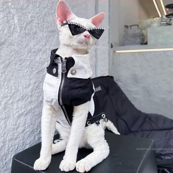 Αξεσουάρ γυαλιών για κατοικίδια με γυαλιά διακοσμητικά με στρας, σε στυλ χιπ-χοπ, από πλαστικό