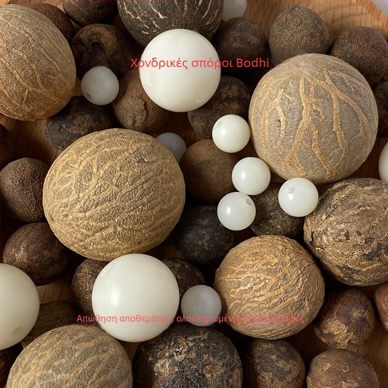 Κοσμήματα Bodhi ρίζα — χειροποίητα, χαραγμένα, φυσικά, γυαλισμένα; σύγχρονο μινιμαλιστικό στυλ; κυκλοφορία τον χειμώνα 2024