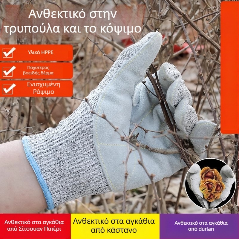 HPPE γάντια αντίκοπης — Επίπεδο 5, Αντιγρατζουνιές, Αντιολισθητικά, Για Κουζίνα και Κήπο, Βάρος 75