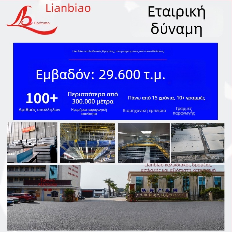 Γαλβανισμένη σχάρα καλωδίων για οργάνωση καλωδίων, γέφυρα τύπου σκάλας/λάκκου με κάλυμμα - διαθέσιμη ιδιωτική μάρκα