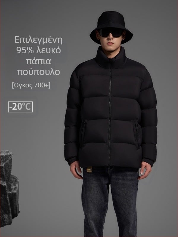 Ανδρικό πουπουλένιο μπουφάν με ψηλό γιακά, ενισχυμένο, απλό μοτίβο, γέμισμα από πάπια πούπουλα, 210–268 γρ