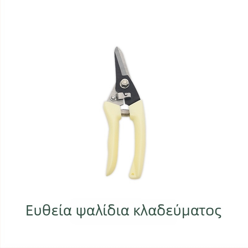 Σετ εργαλείων κήπου από ανοξείδωτο ατσάλι, 5 τεμάχια | Υλικά: PP + Ανοξείδωτο ατσάλι + Oxford ύφασμα | Για κήπο, παραλία και υπαίθρια χρήση