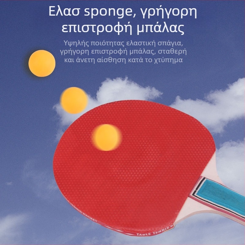 NAILI ρακέτα επιτραπέζιας αντισφαίρισης από μασίβ ξύλο, βάση από φτελιά, γόμα με διπλή κόλλα, οριζόντιος τύπος χτυπήματος, πρότυπες προδιαγραφές