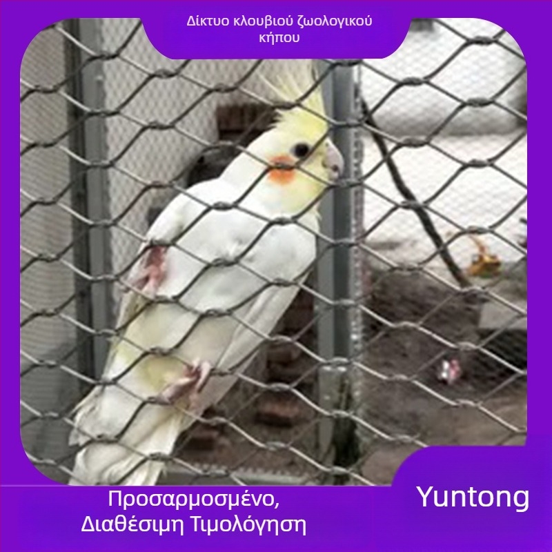 Express Δίκτυο προστασίας από πτώσεις με σύρμα από 304 ανοξείδωτο ατσάλι, πλέγμα διαμαντό οπών, κατάλληλο για πάρκα, ζωολογικούς κήπους, ξενοδοχεία και εμπορικά κέντρα