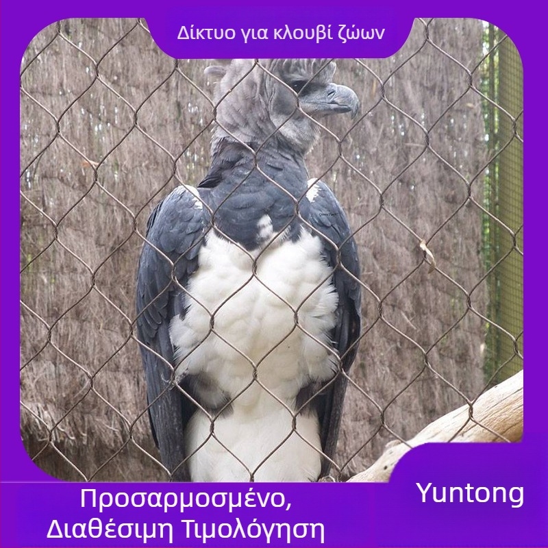 Express Δίκτυο προστασίας από πτώσεις με σύρμα από 304 ανοξείδωτο ατσάλι, πλέγμα διαμαντό οπών, κατάλληλο για πάρκα, ζωολογικούς κήπους, ξενοδοχεία και εμπορικά κέντρα