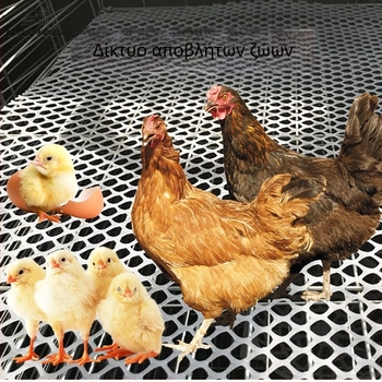 Πυκνωμένο πλέγμα εκτροφής πουλερικών – αντιολισθητικό, προστασία από διαρροές, πλαστικό πλέγμα για εκκόλαψη