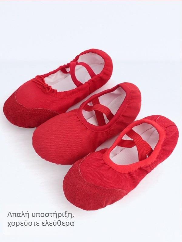 Χορευτικά παπούτσια για κορίτσια - Άνω μέρος από καμβά, Δερμάτινη σόλα, Μία στρώση, Αεράτα και Ελαφριά για πρακτική μπαλέτου