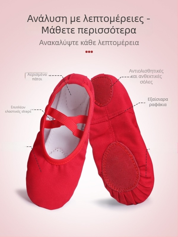 Χορευτικά παπούτσια για κορίτσια - Άνω μέρος από καμβά, Δερμάτινη σόλα, Μία στρώση, Αεράτα και Ελαφριά για πρακτική μπαλέτου
