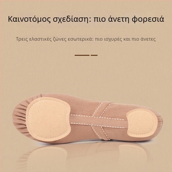 Unisex χορευτικά παπούτσια για μπαλέτο και μοντέρνο χορό, δερμάτινη σόλα, αναπνεύσιμα και ελαφριά, πάνω μέρος από Lycra ελαστικό ύφασμα