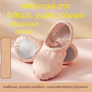 Παιδικά παπούτσια χορού με μαλακή σόλα, χωρίς κορδόνια, σχέδιο γατόπατων για μπαλέτο και κινεζικό χορό