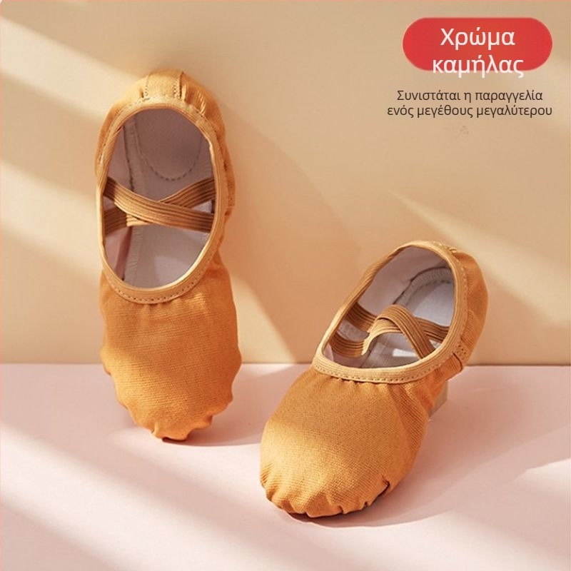 Παιδικά παπούτσια χορού με μαλακή σόλα, χωρίς κορδόνια, σχέδιο γατόπατων για μπαλέτο και κινεζικό χορό
