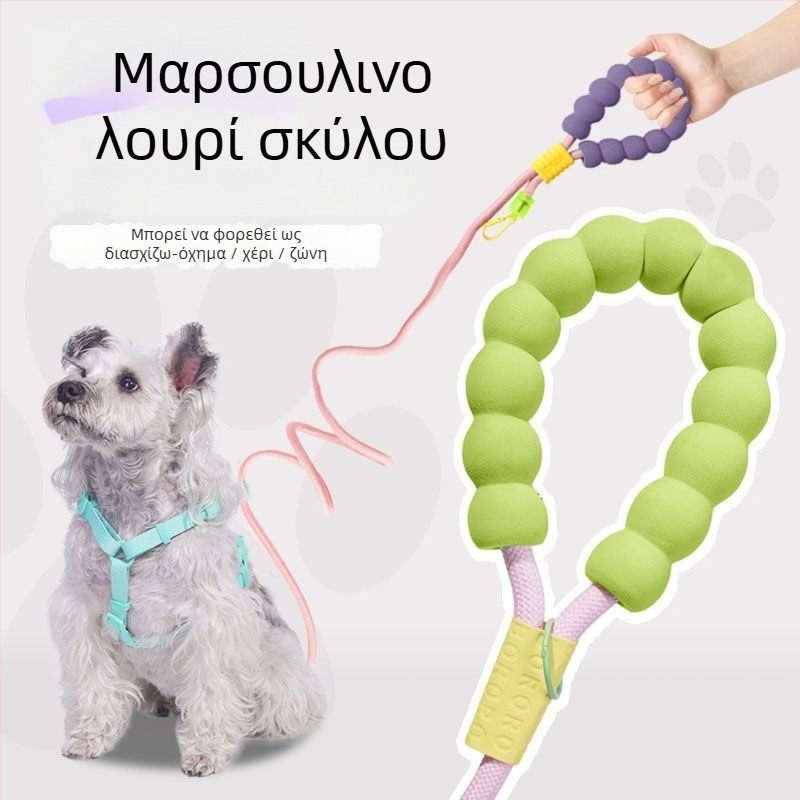 Λουρί σκύλου από PP, προέλευση Zhejiang, μη επεκτειόμενο, κατηγορία: ιμάντες για κατοικίδια