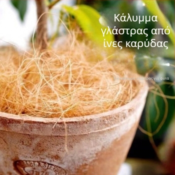 Κανάκι ποτίσματος/Μπουκάλι ψεκασμού — διακοσμητική επικάλυψη γλάστρας από ίνες καρύδας για κήπο (Υλικό: Άλλο; Εισαγωγή: Όχι; Μάρκα: Άλλο; Εφαρμογή: Αναψυχή/Ταξίδια)