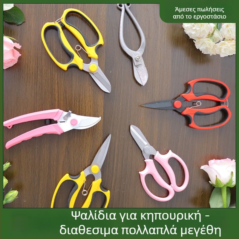 Ψαλίδια κλαδέματος κήπων από ανοξείδωτο χάλυβα, για οικιακή χρήση, κοπή λουλουδιών και κλαδιών