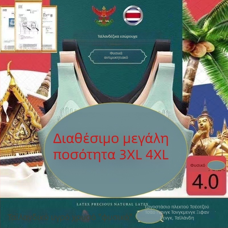 Δαντελωτό ασύρματο σουτιέν χωρίς μεταλλικά δαχτυλίδια, πλήρες κάλυμμα, με μεσαίου τύπου cups, διπλοί ιμάντες, γυναικείο αθλητικό σουτιέν σε στυλ γιλέκου