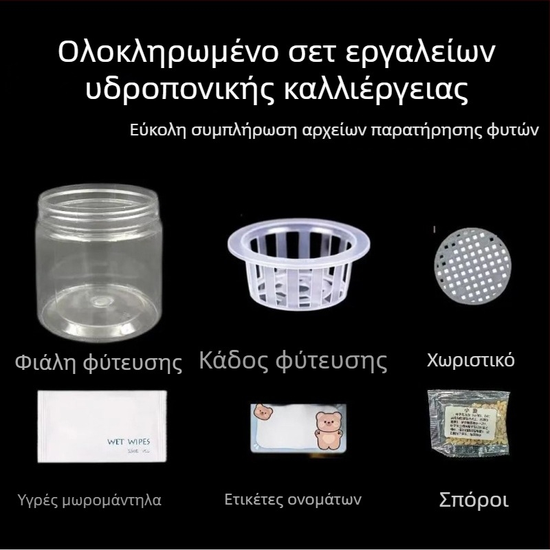 Κιτ υδροπονίας φασολιών σε γλασαρισμένο πορσελάνινο δοχείο για οικιακή κηπουρική, βάση δαπέδου, ανθεκτικό στη διάβρωση