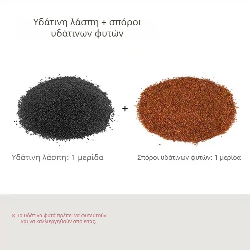 Υδροπονικό οικολογικό γυάλινο μπουκάλι για επιτραπέζιο διακοσμητικό — υδάτινα φυτά, σπόροι και μικρο τοπίο