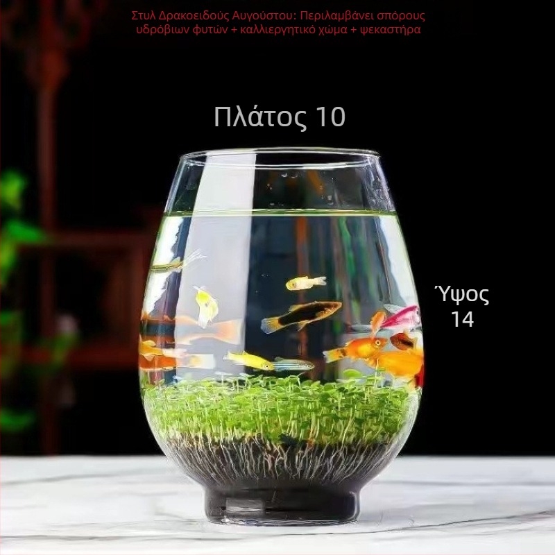 Υδροπονικό οικολογικό γυάλινο μπουκάλι για επιτραπέζιο διακοσμητικό — υδάτινα φυτά, σπόροι και μικρο τοπίο