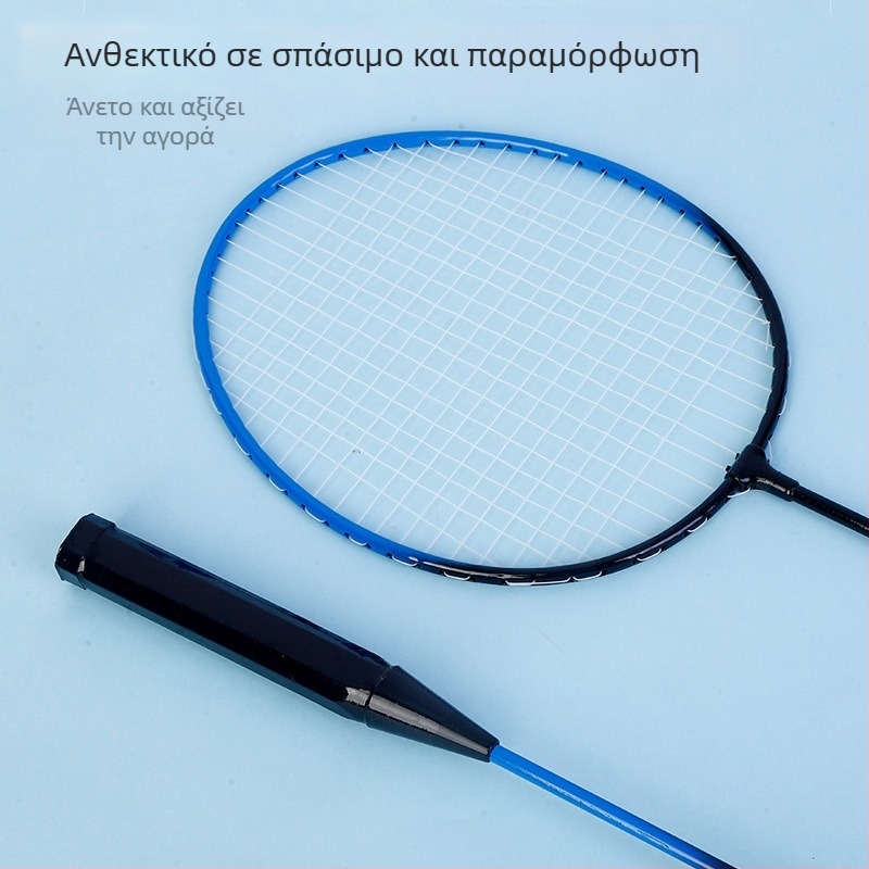 Σετ μπατμίντον με δύο ρακέτες, πλαισίο από κράμα σιδήρου, βάρος 95–100 g, τύπος ρακέτας: άμεσο χτύπημα, περιλαμβάνεται φτερό μπάτμίντον