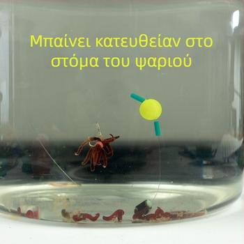 Γνήσιος εξοπλισμός αλιείας για άγριο κυπρίνο με δεμένη ηγετική γραμμή και αγκίστρια