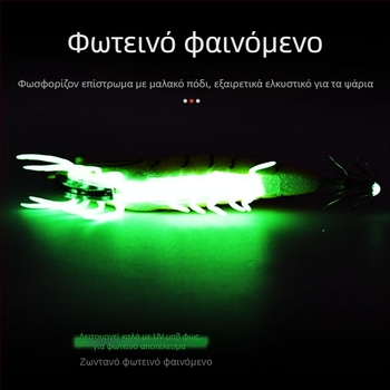 Αγκίστρι καλαμαριού για θαλάσσιο ψάρεμα με φωσφορίζον φθοριστικό εφέ — Μάρκα SHARESHARK | Υλικό: Consulting