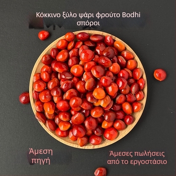 Βραχιόλι Bodhi με χάντρες, χειροποίητο πλέξιμο, μοτίβο τοτέμ, ρετρό στυλ