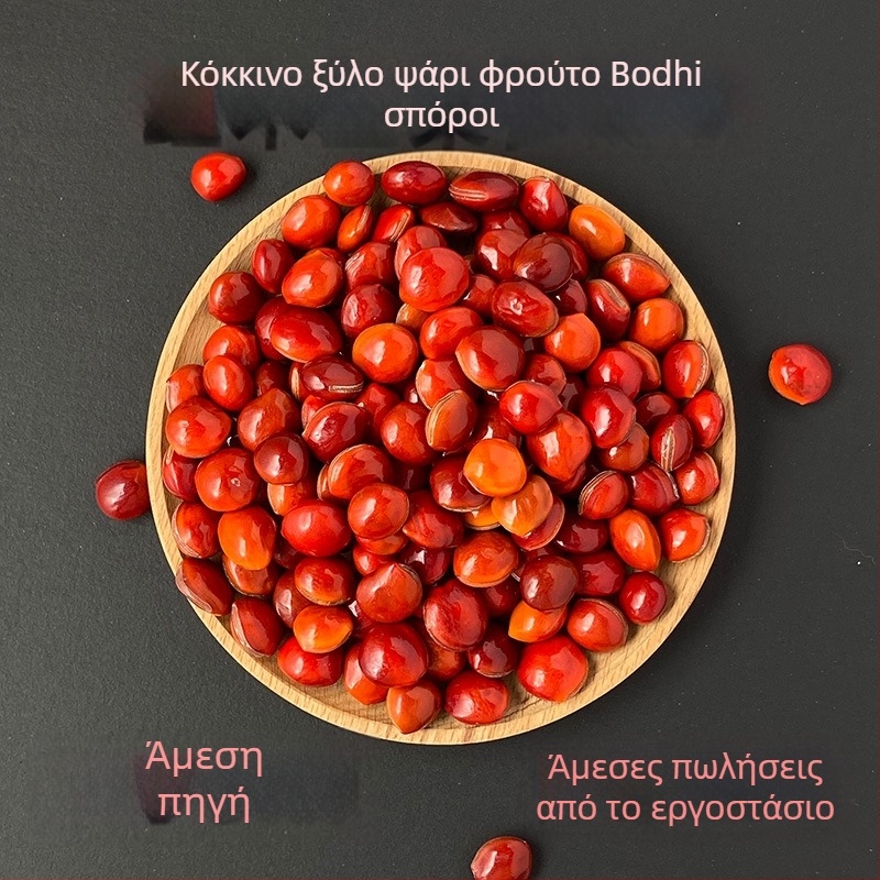 Βραχιόλι Bodhi με χάντρες, χειροποίητο πλέξιμο, μοτίβο τοτέμ, ρετρό στυλ