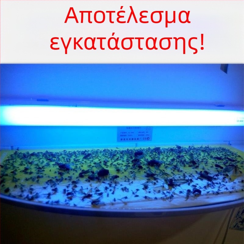 Τοίχο-Μονταριστή Λαμπτήρα Κολλητικής Παγίδας κατά των Κουνουπιών, για Εστιατόρια και Ξενοδοχεία, UV Φως Παγίδα, Κάλυψη 61 τ.μ.+, Περίβλημα ABS, 1 Έτος Εγγύηση