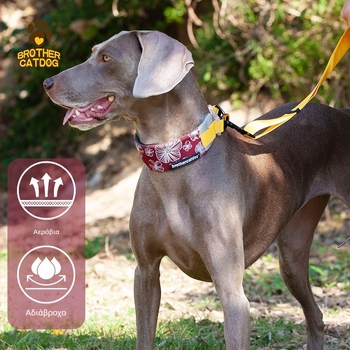 Ανακλαστικό περιλαίμιο σκύλου Mohair, γενικής χρήσης, με σχοινί έλξης