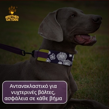 Κολάρο σκύλου, Υλικό Mohair, Γενική χρήση, Σχέδιο: Άλλο, Στυλ: Άλλο