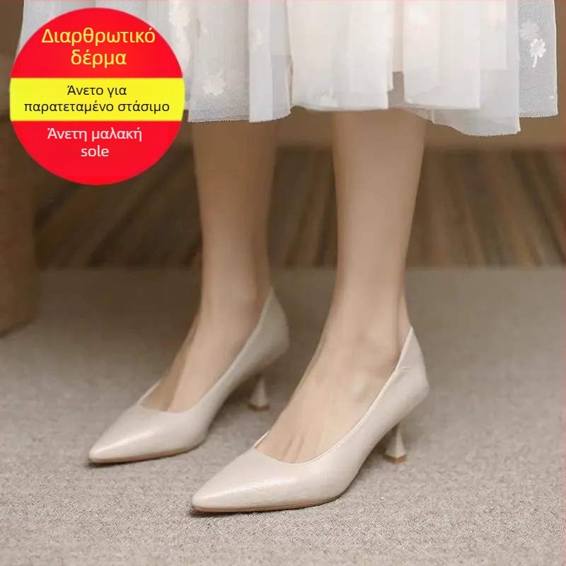 Γυναικείες γόβες από microfiber δέρμα, slip-on, χαμηλό τακούνι (<3 cm), μεσαίο ύψος επάνω, μυτερός μπροστινός, εσωτερικό microfiber, σόλα TPR, αστικός στυλ