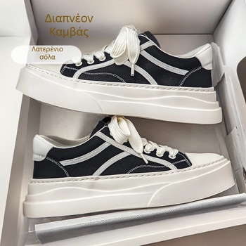 Ανδρικά καμβαδένια sneakers με φαρδιά σόλα, στυλ Χονγκ Κονγκ, χαμηλό προφίλ, κορδώνια, αναπνεύσιμο εσωτερικό