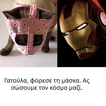 Κάλυμμα στόματος γάτας – αναπνεύσιμο πολυεστέρας, για καθαρισμό και χορήγηση φαρμάκων, κατά του δαγκώματος, σετ 100, άδεια ιδιωτικής ετικέτας