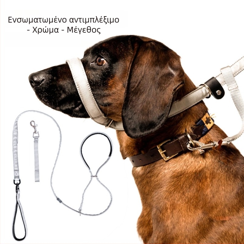 Haberie νάιλον λουρί σκύλου – ζώνη έλξης, πακέτο 100