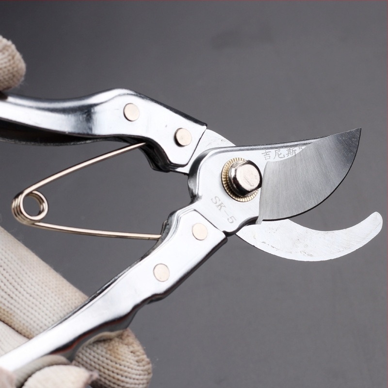 Ψαλίδι κλαδέματος, SK5 ατσάλι, ενισχυμένη λεπίδα, εξοικονόμηση κόπων, για κήπο και γεωργική κλάδεση