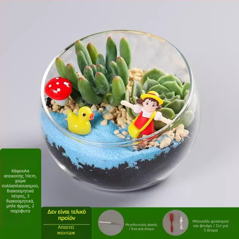 DIY κιτ μικροτοπίου με βρύα και παχύφυτα σε γυάλινη σφαίρα υψηλής αντοχής, μάρκα Xuanyi, συσκευασία από χαρτόνι, για τοποθέτηση σε γραφείο