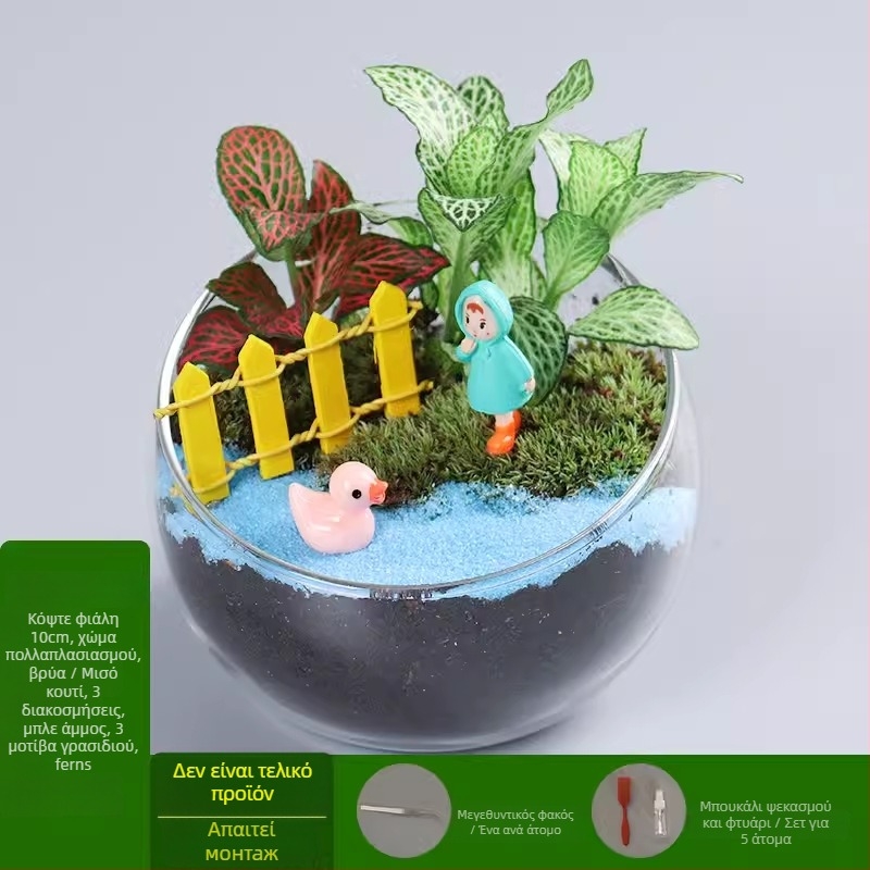 DIY κιτ μικροτοπίου με βρύα και παχύφυτα σε γυάλινη σφαίρα υψηλής αντοχής, μάρκα Xuanyi, συσκευασία από χαρτόνι, για τοποθέτηση σε γραφείο