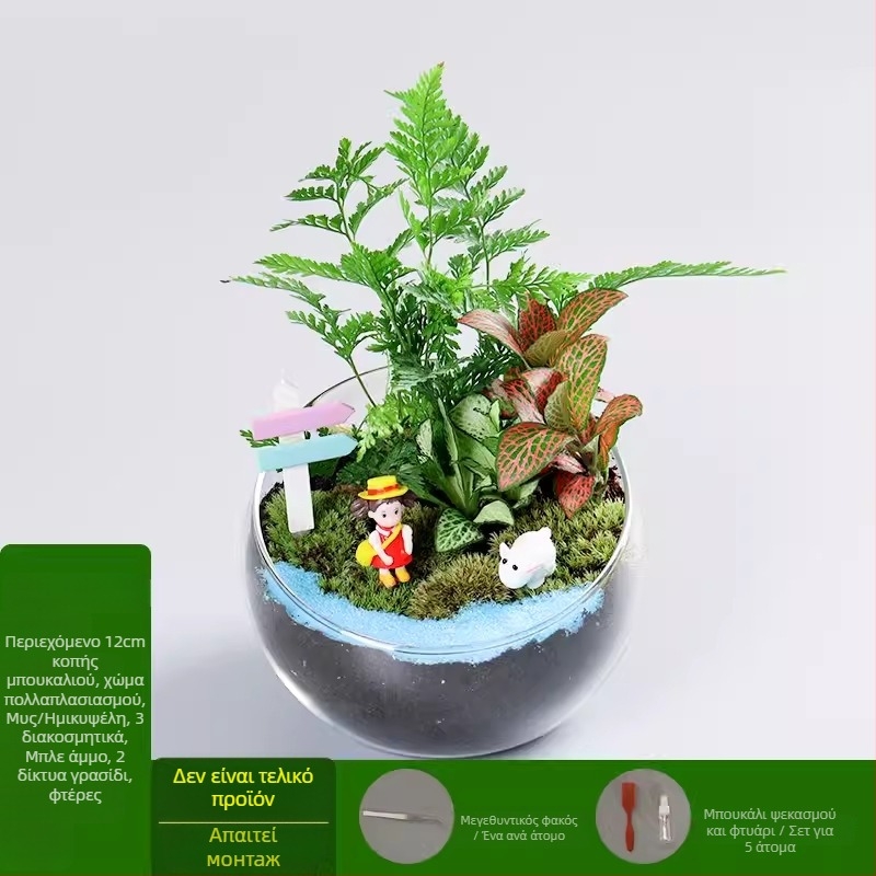 DIY κιτ μικροτοπίου με βρύα και παχύφυτα σε γυάλινη σφαίρα υψηλής αντοχής, μάρκα Xuanyi, συσκευασία από χαρτόνι, για τοποθέτηση σε γραφείο