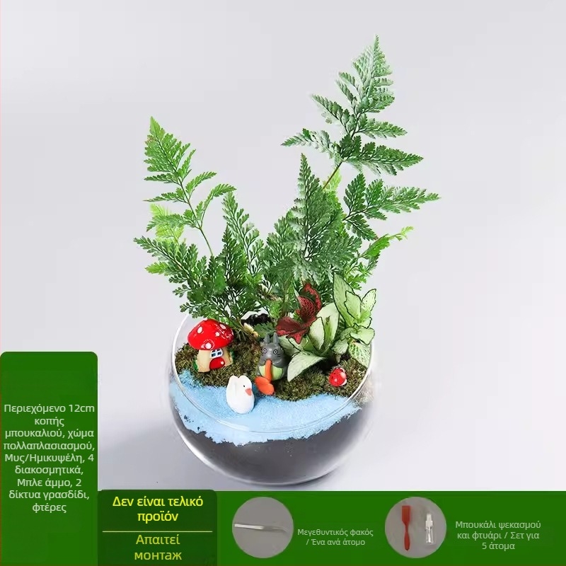 DIY κιτ μικροτοπίου με βρύα και παχύφυτα σε γυάλινη σφαίρα υψηλής αντοχής, μάρκα Xuanyi, συσκευασία από χαρτόνι, για τοποθέτηση σε γραφείο