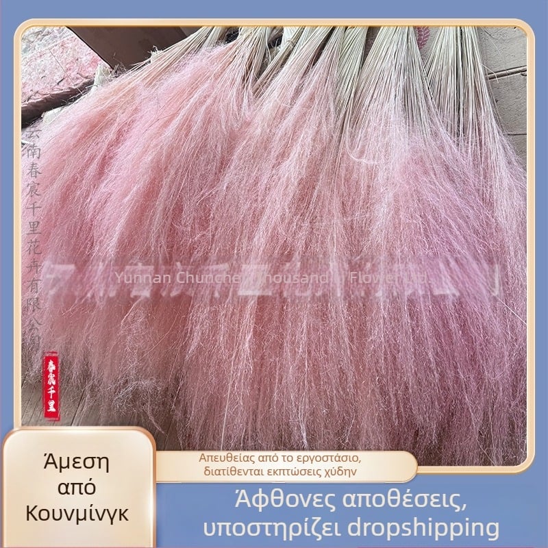 Μπουκέτο αποξηραμένων λουλουδιών, Pink dai ποικιλία, Chen chen qianli flowers (Μάρκα: Chen chen qianli flowers; Υλικό: Αποξηραμένα λουλούδια; Ποικιλία: Pink dai; Δώρο: Όχι)